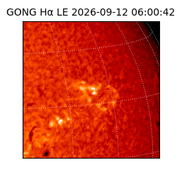 gong - 2026-09-12T06:00:42