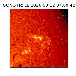 gong - 2026-09-12T07:00:42