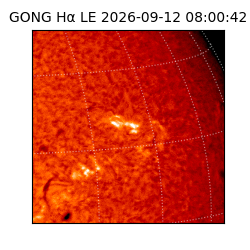 gong - 2026-09-12T08:00:42