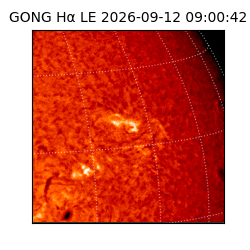 gong - 2026-09-12T09:00:42