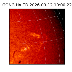 gong - 2026-09-12T10:00:22