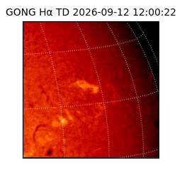 gong - 2026-09-12T12:00:22