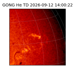 gong - 2026-09-12T14:00:22