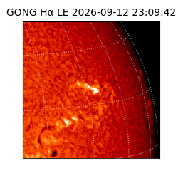 gong - 2026-09-12T23:09:42