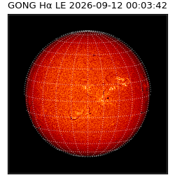 gong - 2026-09-12T00:03:42