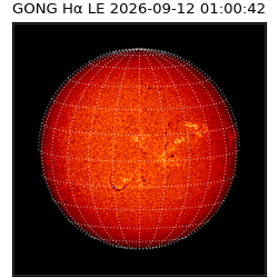 gong - 2026-09-12T01:00:42