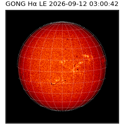 gong - 2026-09-12T03:00:42