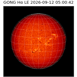 gong - 2026-09-12T05:00:42