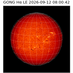 gong - 2026-09-12T08:00:42