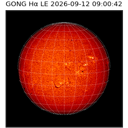 gong - 2026-09-12T09:00:42