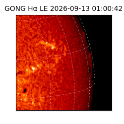 gong - 2026-09-13T01:00:42