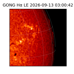 gong - 2026-09-13T03:00:42