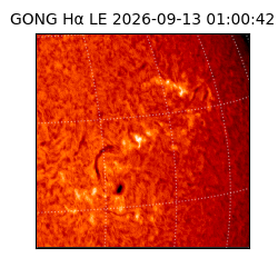 gong - 2026-09-13T01:00:42