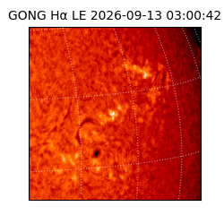 gong - 2026-09-13T03:00:42