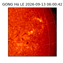 gong - 2026-09-13T06:00:42