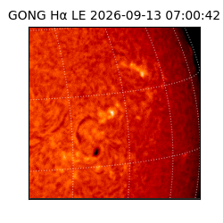gong - 2026-09-13T07:00:42