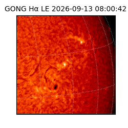 gong - 2026-09-13T08:00:42