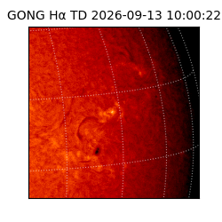gong - 2026-09-13T10:00:22