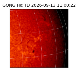 gong - 2026-09-13T11:00:22
