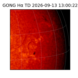 gong - 2026-09-13T13:00:22