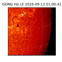 gong - 2026-09-13T01:00:42