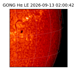 gong - 2026-09-13T02:00:42