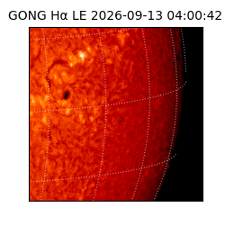 gong - 2026-09-13T04:00:42