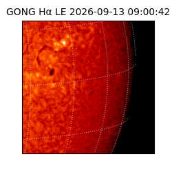 gong - 2026-09-13T09:00:42