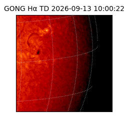 gong - 2026-09-13T10:00:22