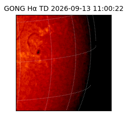 gong - 2026-09-13T11:00:22