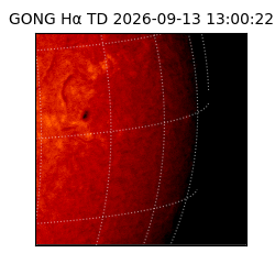 gong - 2026-09-13T13:00:22