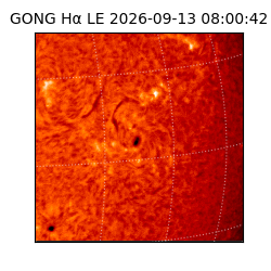 gong - 2026-09-13T08:00:42