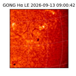 gong - 2026-09-13T09:00:42