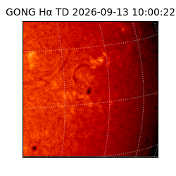 gong - 2026-09-13T10:00:22