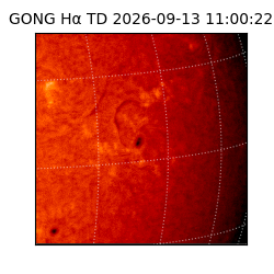 gong - 2026-09-13T11:00:22