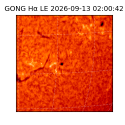gong - 2026-09-13T02:00:42