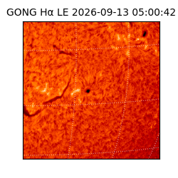 gong - 2026-09-13T05:00:42