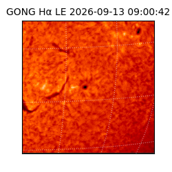 gong - 2026-09-13T09:00:42