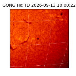 gong - 2026-09-13T10:00:22