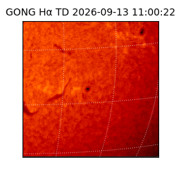 gong - 2026-09-13T11:00:22