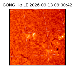 gong - 2026-09-13T09:00:42