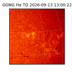 gong - 2026-09-13T13:00:22