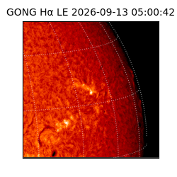 gong - 2026-09-13T05:00:42