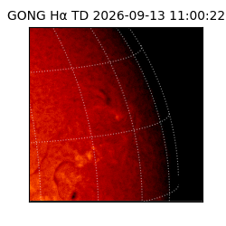 gong - 2026-09-13T11:00:22