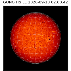 gong - 2026-09-13T02:00:42