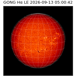 gong - 2026-09-13T05:00:42