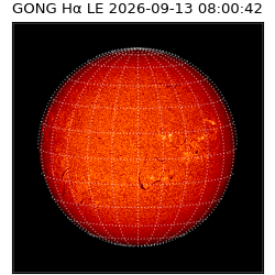 gong - 2026-09-13T08:00:42