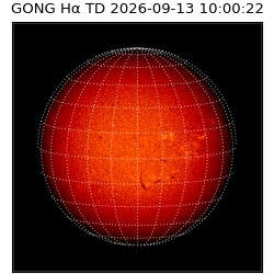 gong - 2026-09-13T10:00:22
