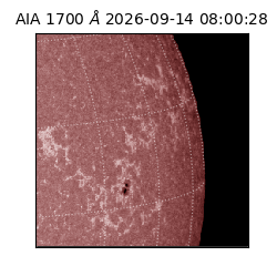saia - 2026-09-14T08:00:28.731000