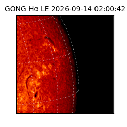gong - 2026-09-14T02:00:42